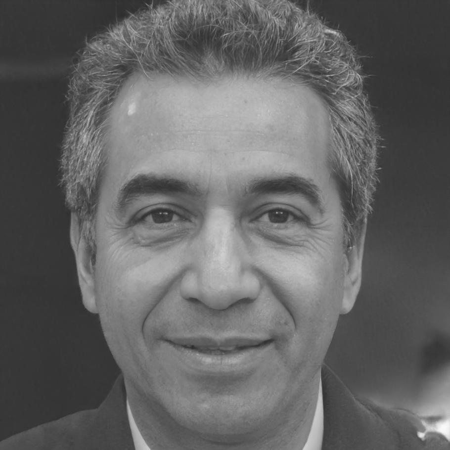 Методолог программы критического мышления